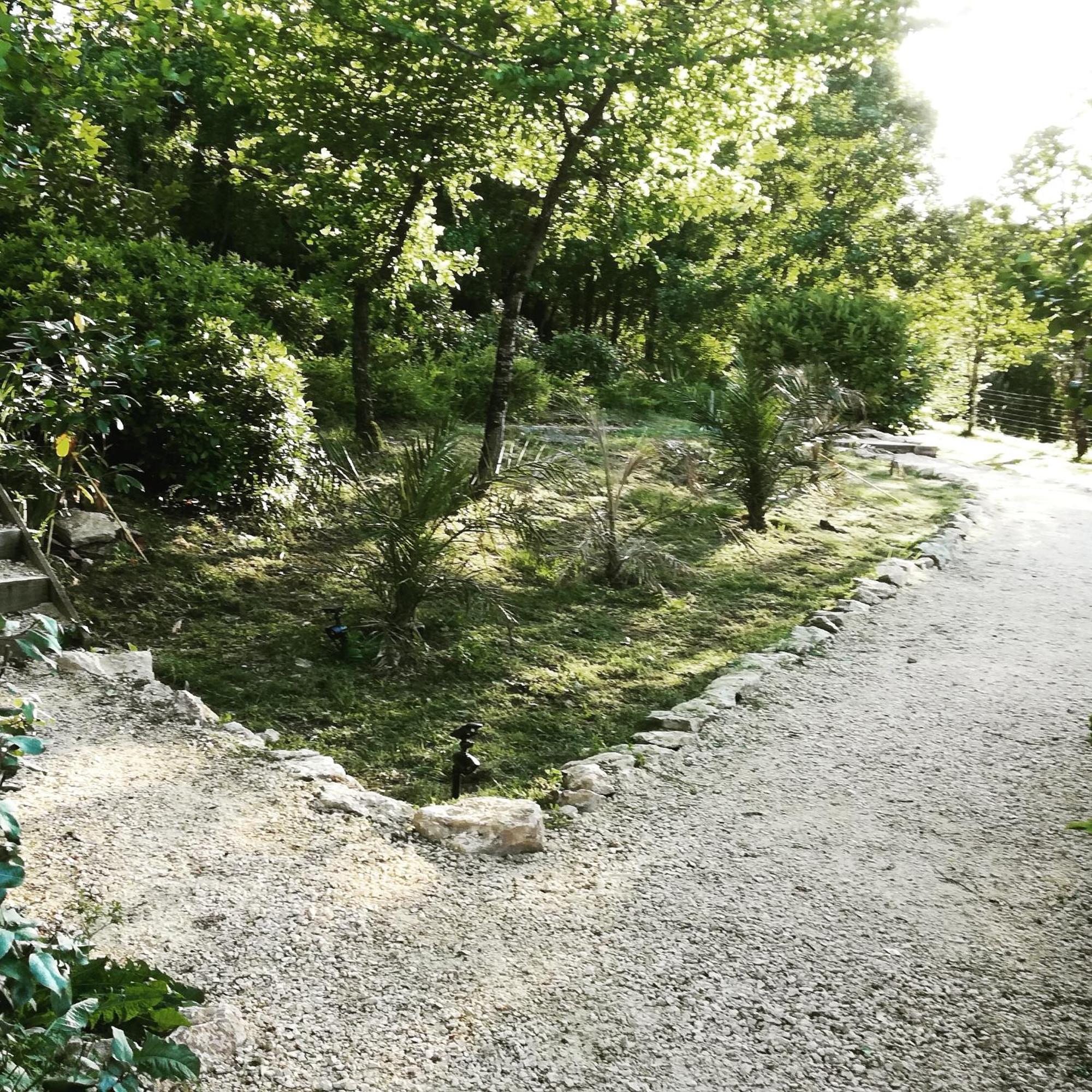 La Source Bed & Breakfast Saint-Cybranet ภายนอก รูปภาพ